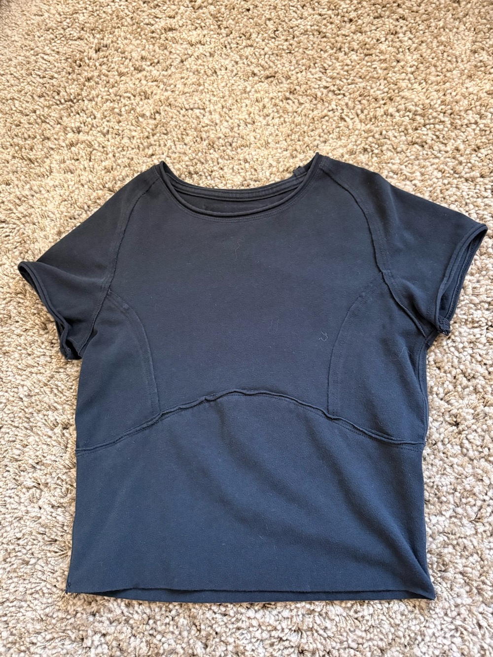 We The Free Protagonist Cropped Cap Sleeve Tee - Black